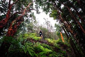 BIB: 
                            <button type="button" onclick="openModal(26201573)" class="btn btn-primary btn-sm float-right btn-popup" data-toggle="modal" data-target=".modal-high-quality">
                        <i class="fas fa-shopping-cart"></i> Add to Cart
                    </button>
                                            <button type="button" onclick="isThisMe(26201573, true)" class="btn btn-success btn-sm float-right btn-popup btn-isme hidden" data-toggle="tooltip" data-placement="bottom" title="นี่คือรูปของคุณใช่ไหม คลิกที่นี่เพื่อเอาเข้าอัลบั้ม">
                        <i class="fas fa-plus"></i> Add to album
                    </button>
                    <button type="button" onclick="isThisMe(26201573, false)" class="btn btn-warning btn-sm float-right btn-popup btn-isnotme hidden">
                        <i class="fas fa-ban"></i> Remove from album
                    </button>